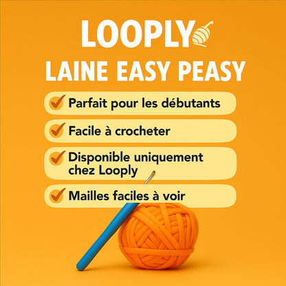 Emilio la Tortue – Kit de crochet